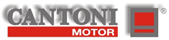 �����Cantoni���